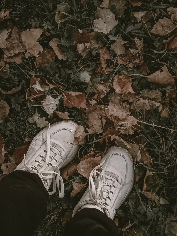 ✨