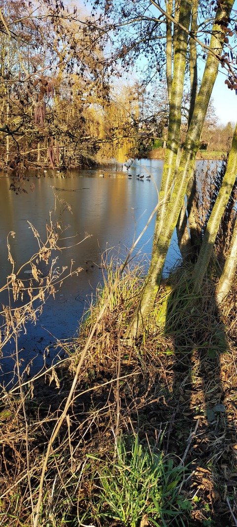 eau gelée en hiver