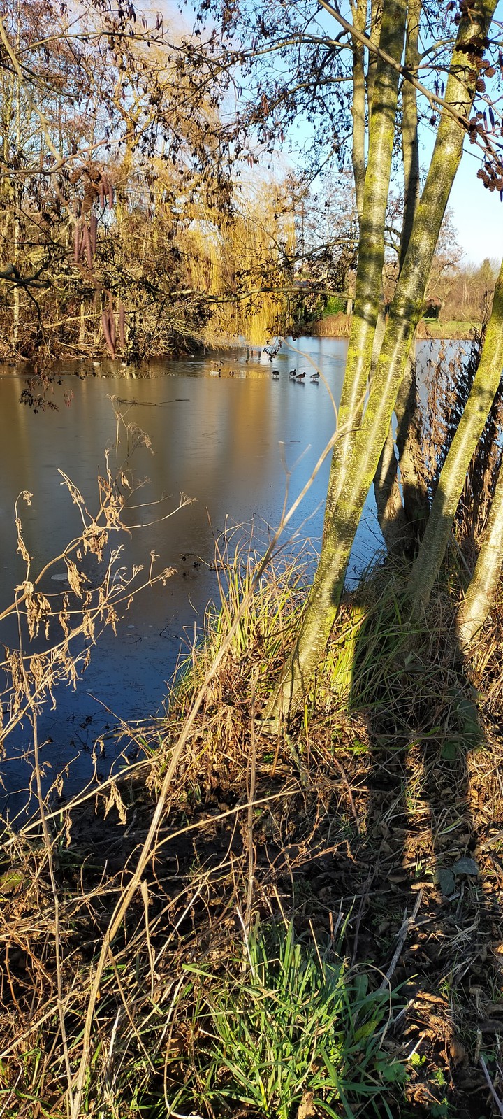 eau gelée en hiver