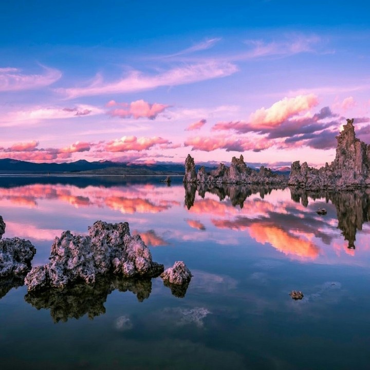 Beautiful Scene