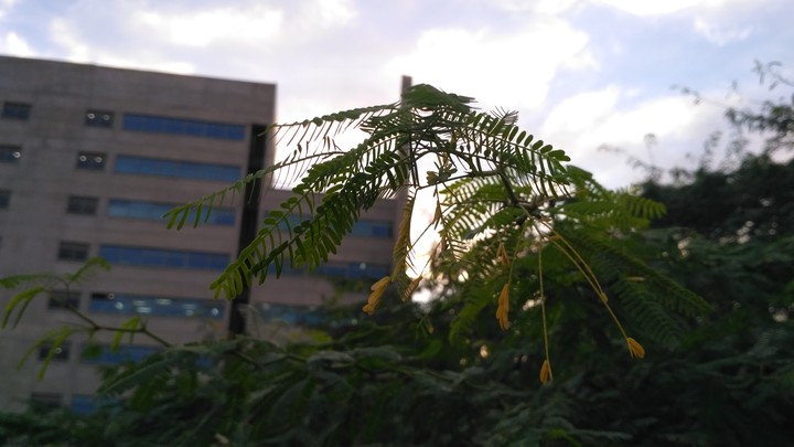 through the mother nature(iit hyderabad)