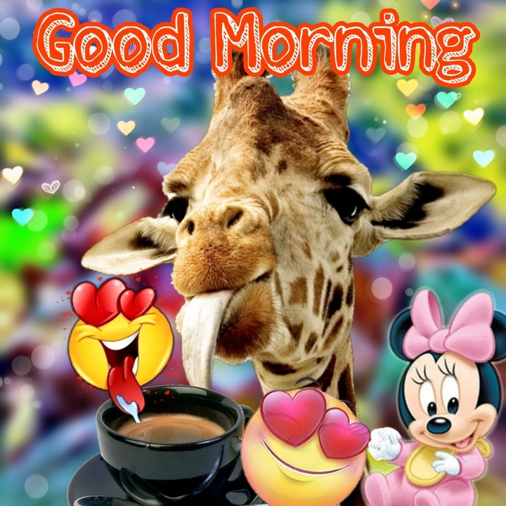 good Morning