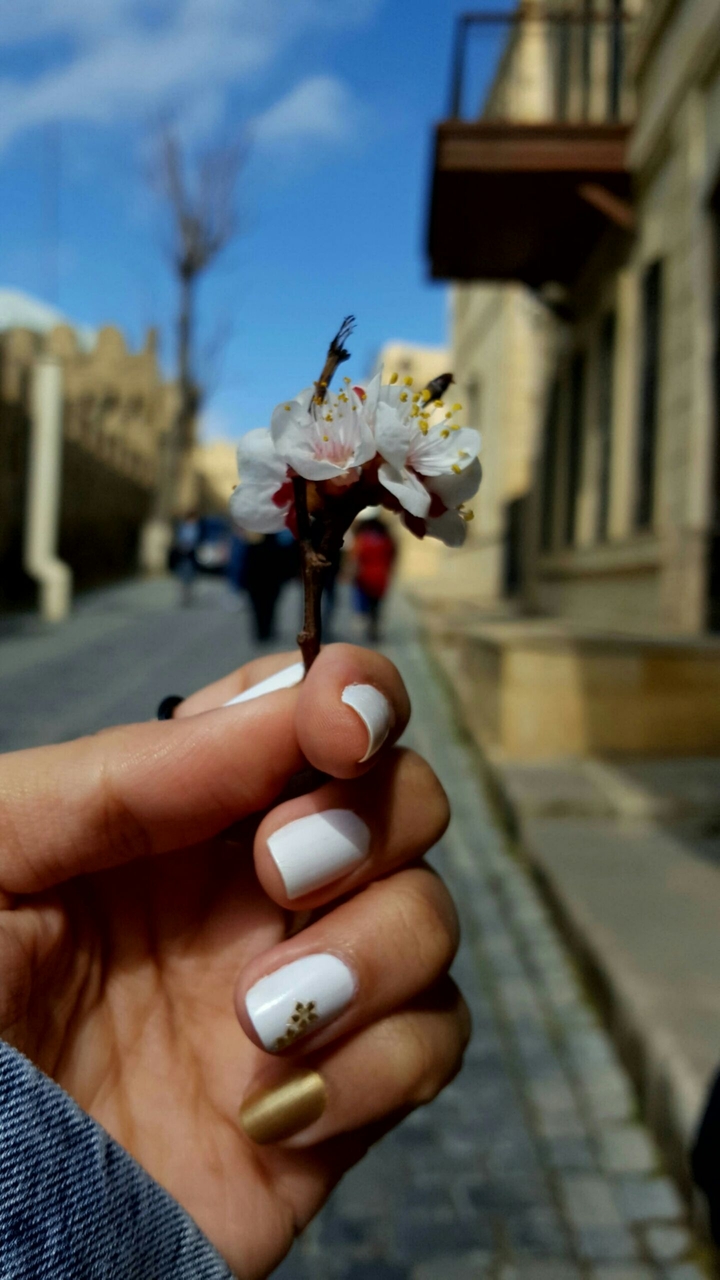in my hand