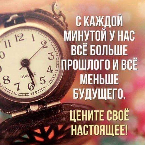 жизнь