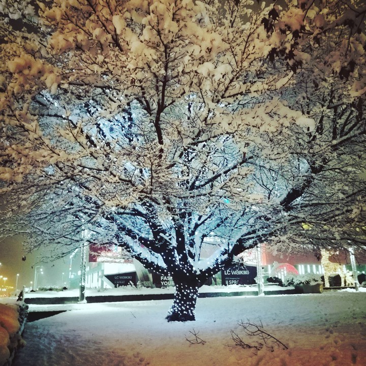 Magic is everywhere ❄️