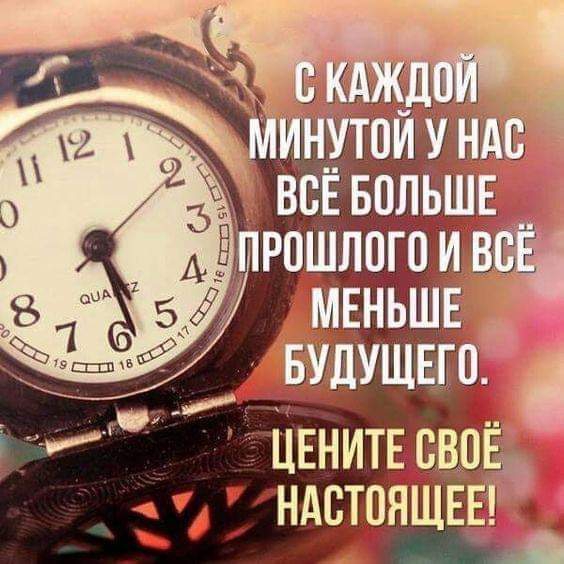 жизнь