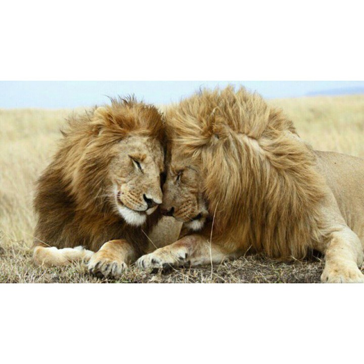 "el amor nunca deja de ser"