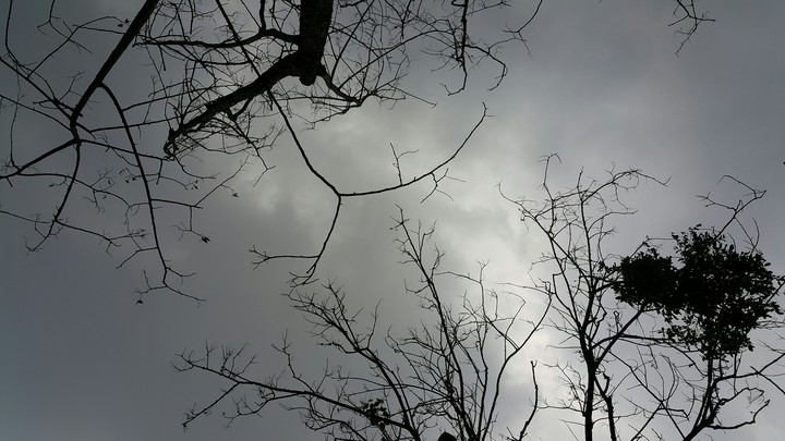 all in dark