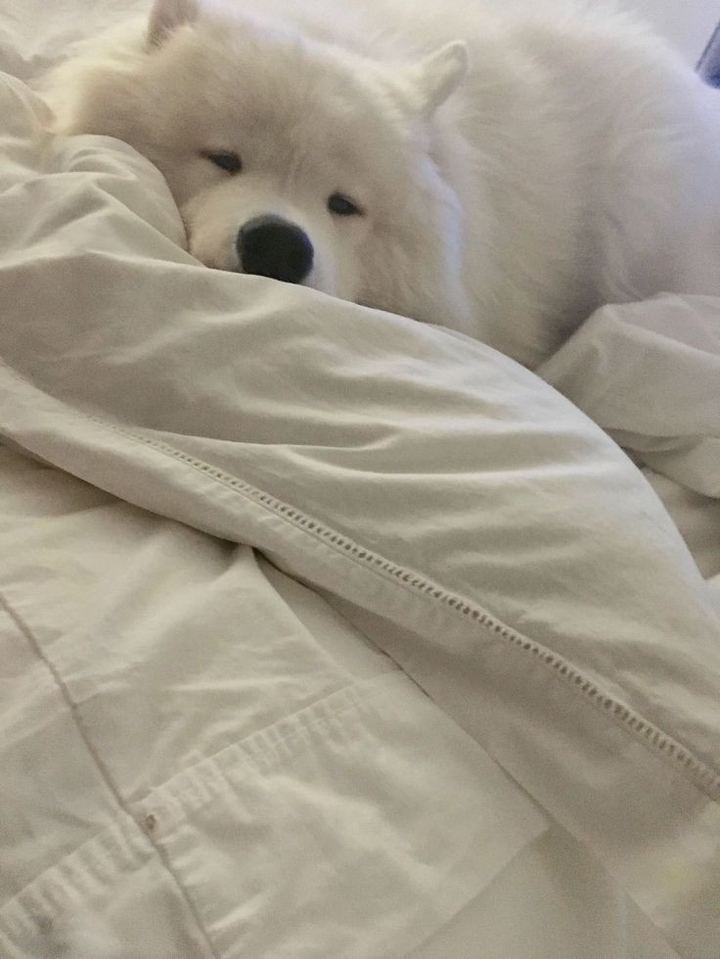 .