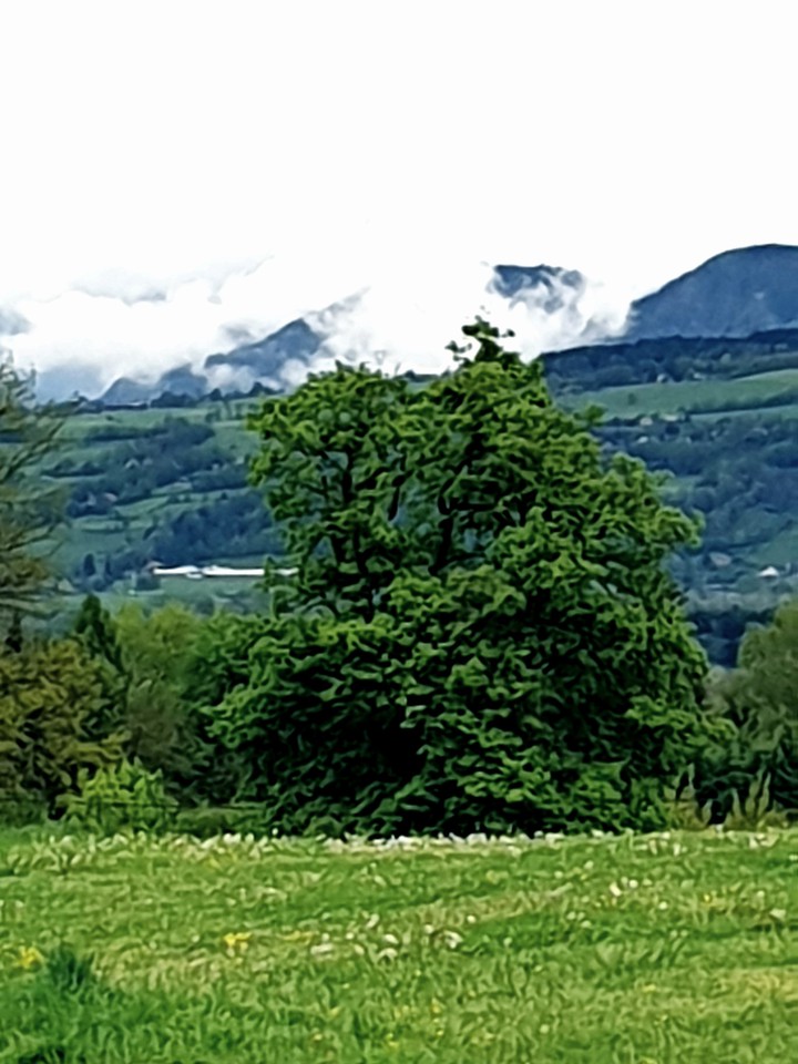 nuages