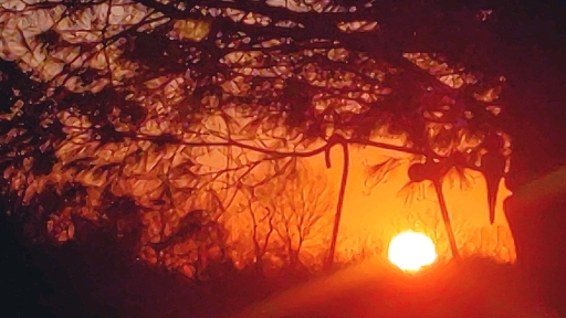 fridays sunrise