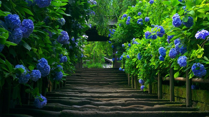 Nature