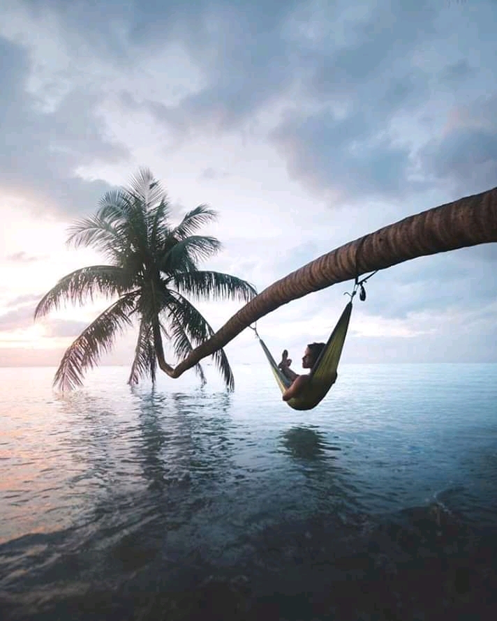 Relax