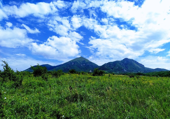 Nature