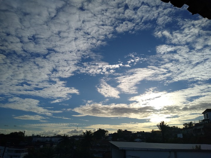 Tarde bela