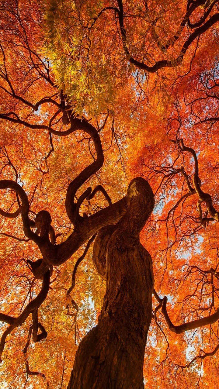 otoño