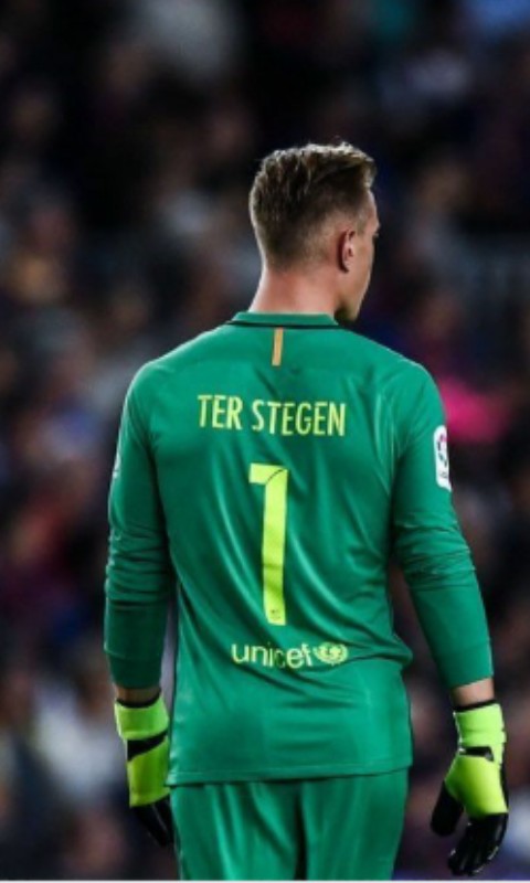 ter stegne
