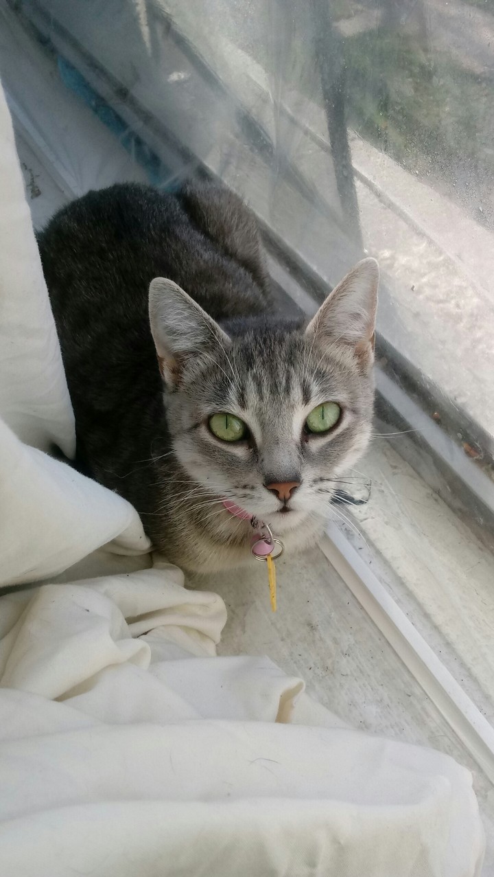 chloe