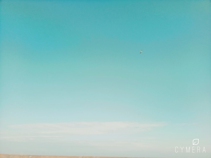 blue sky