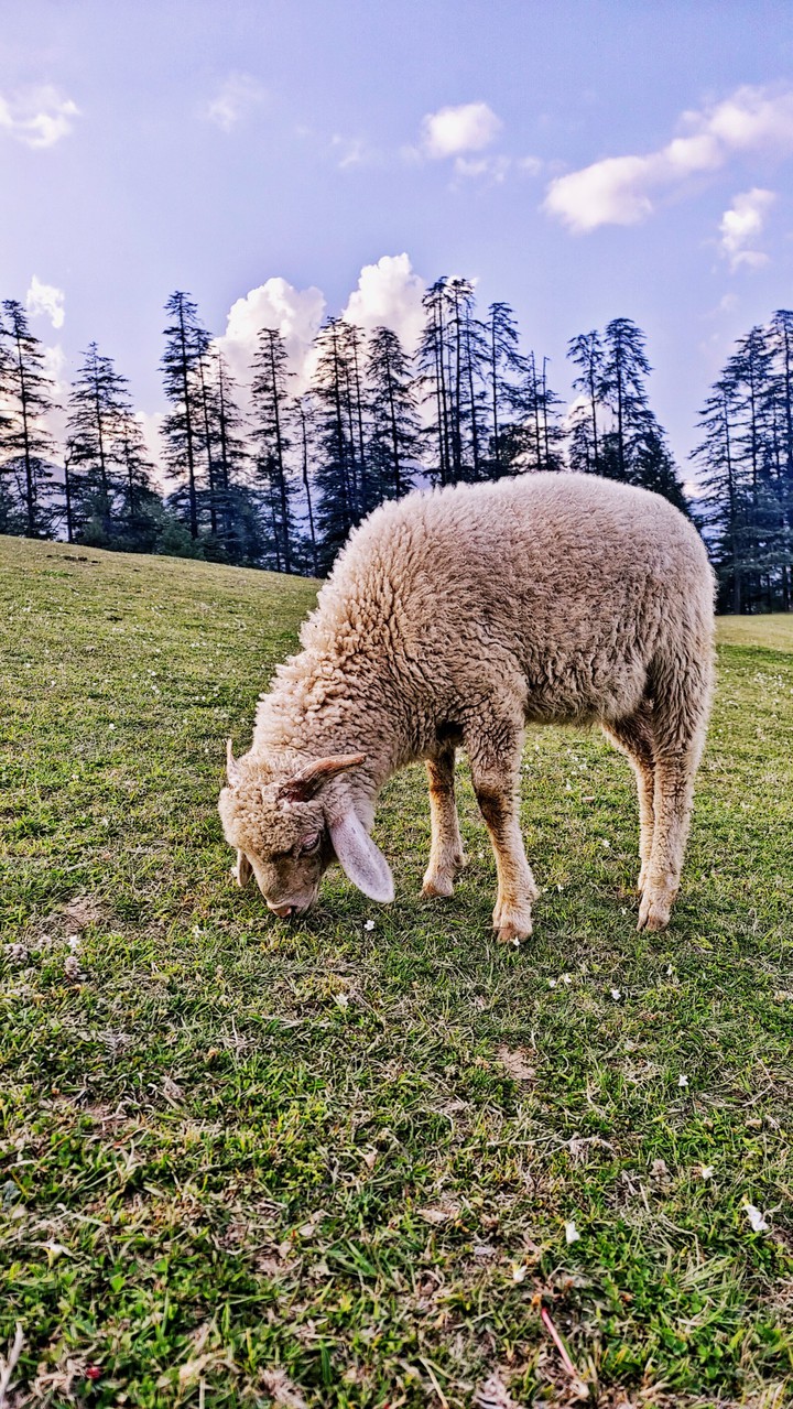 .