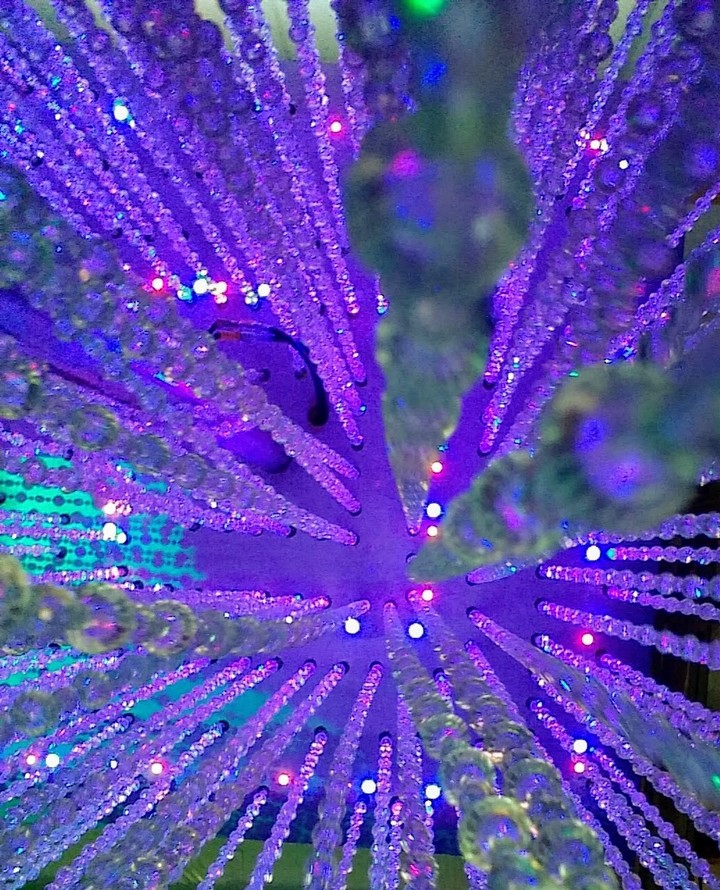 Light
