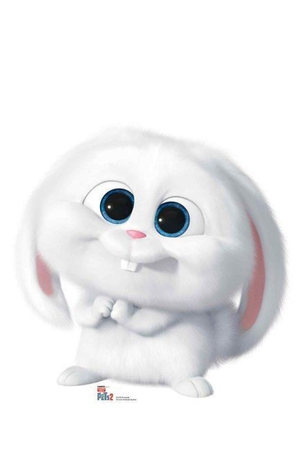 pets2