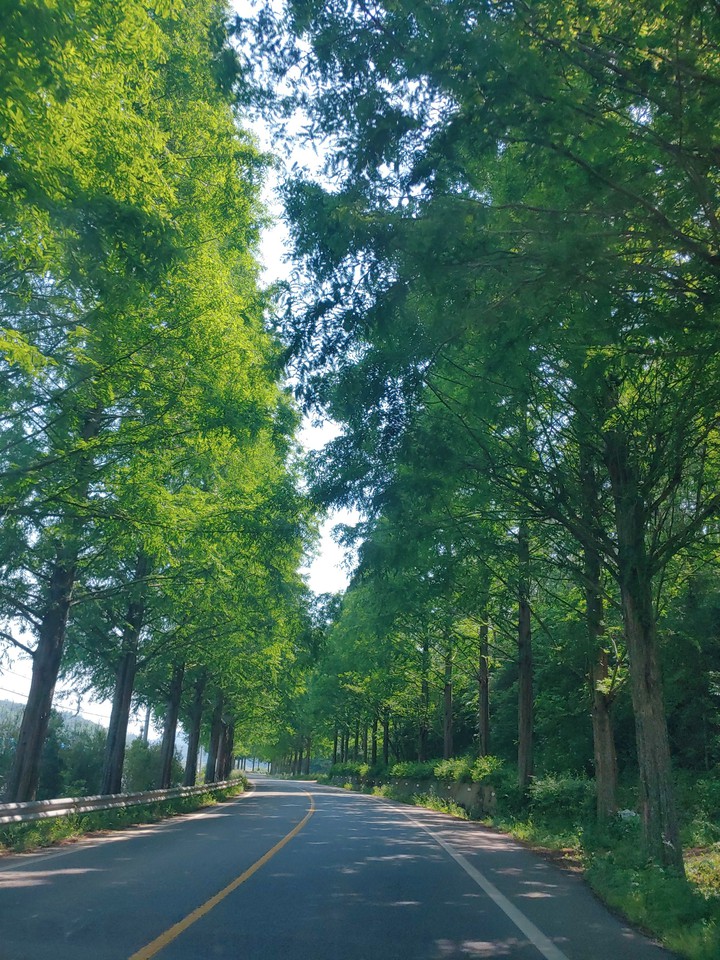 숲길