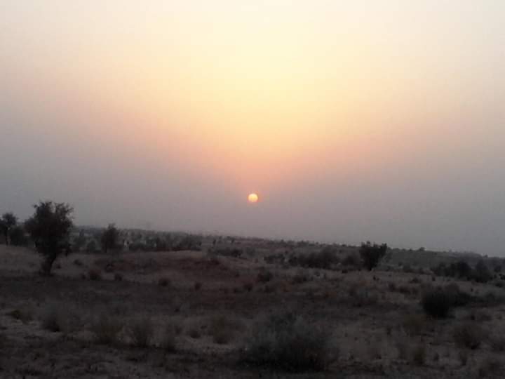 sun