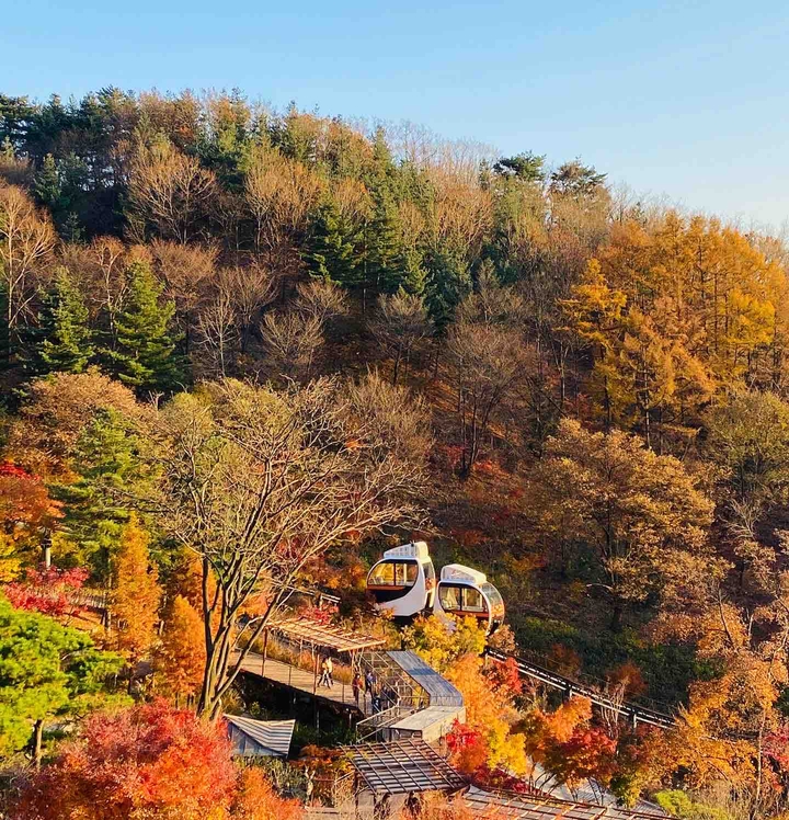 Into the Fall