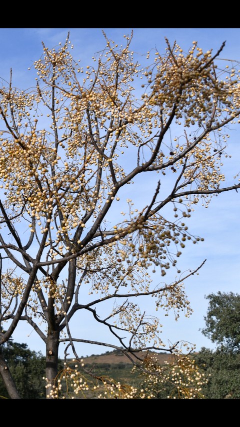 paisaje