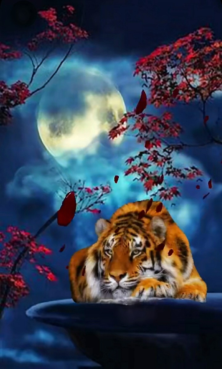 Nature.