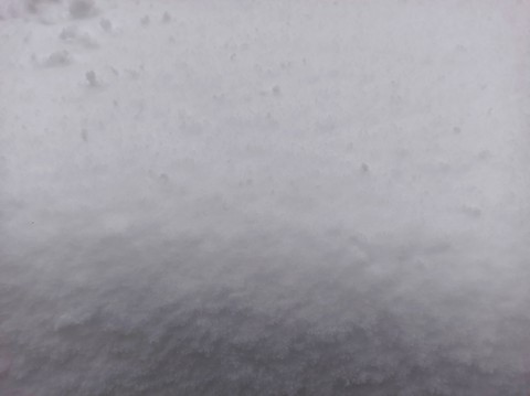 mist, grey桌布