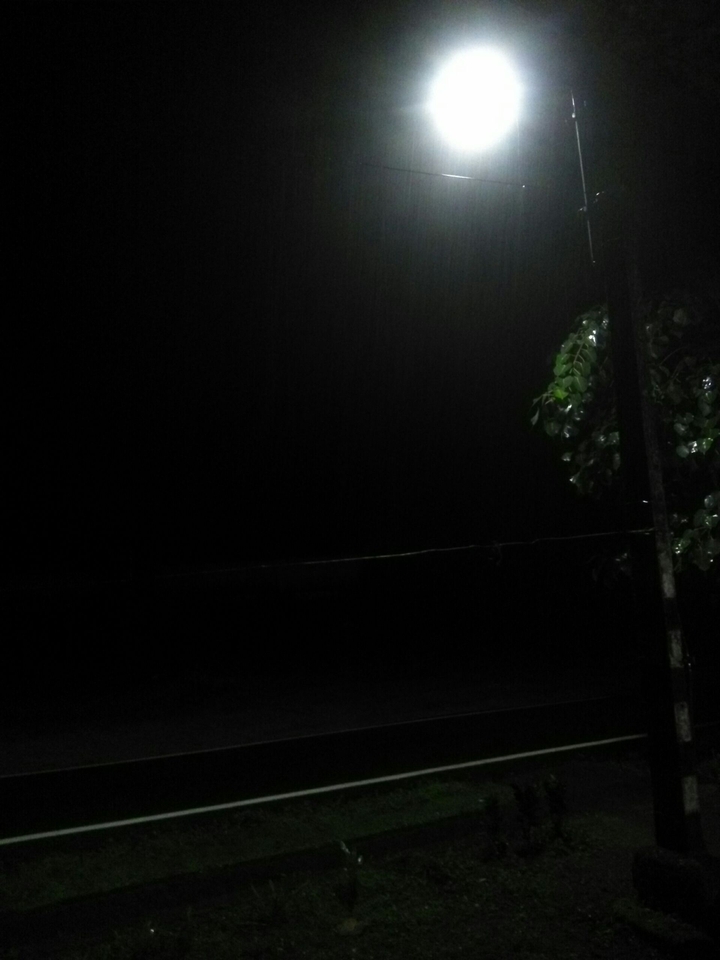 street light with rain