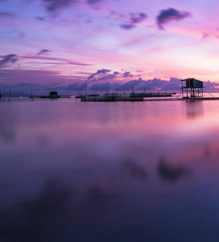 purple