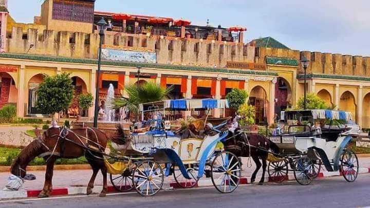 MEKNES