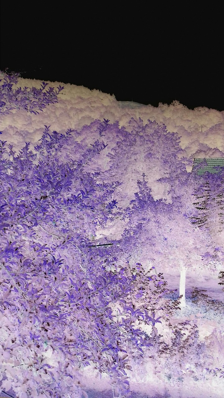 paysage