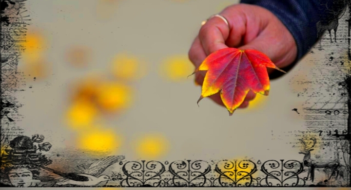 Single Leaf