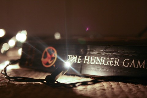 "May the Odds be Ever in Your Favor!"