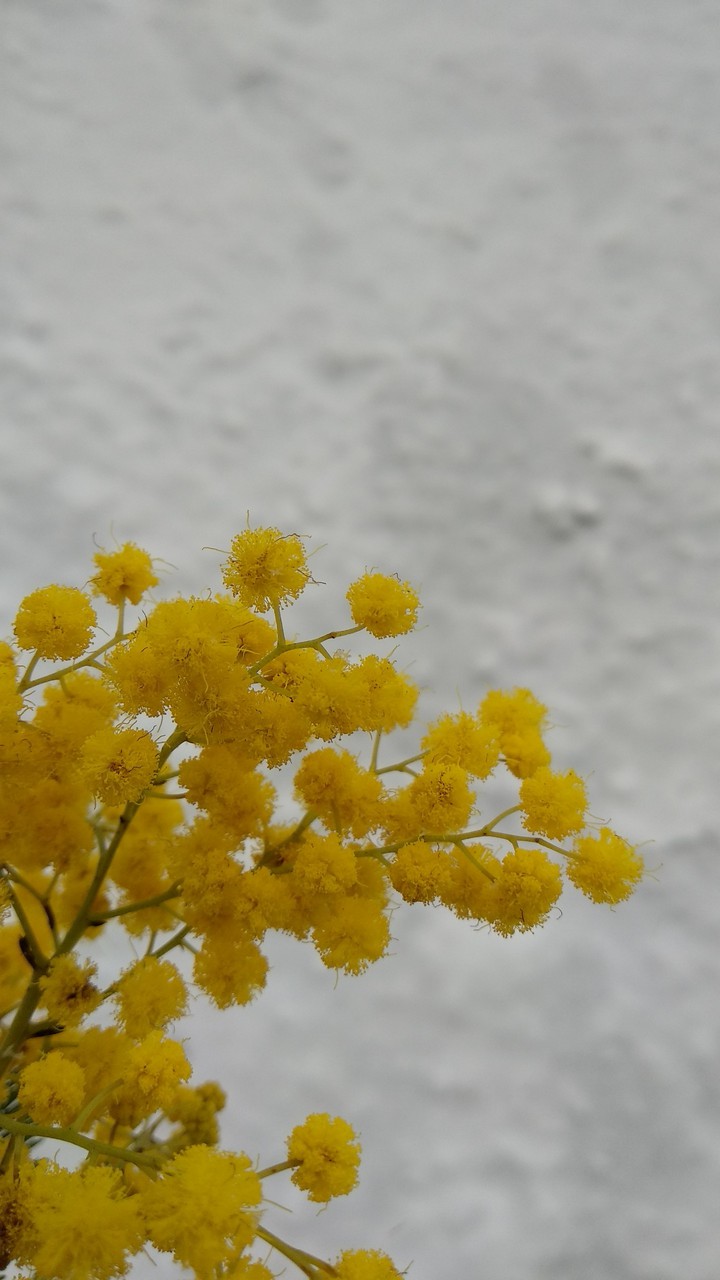 78