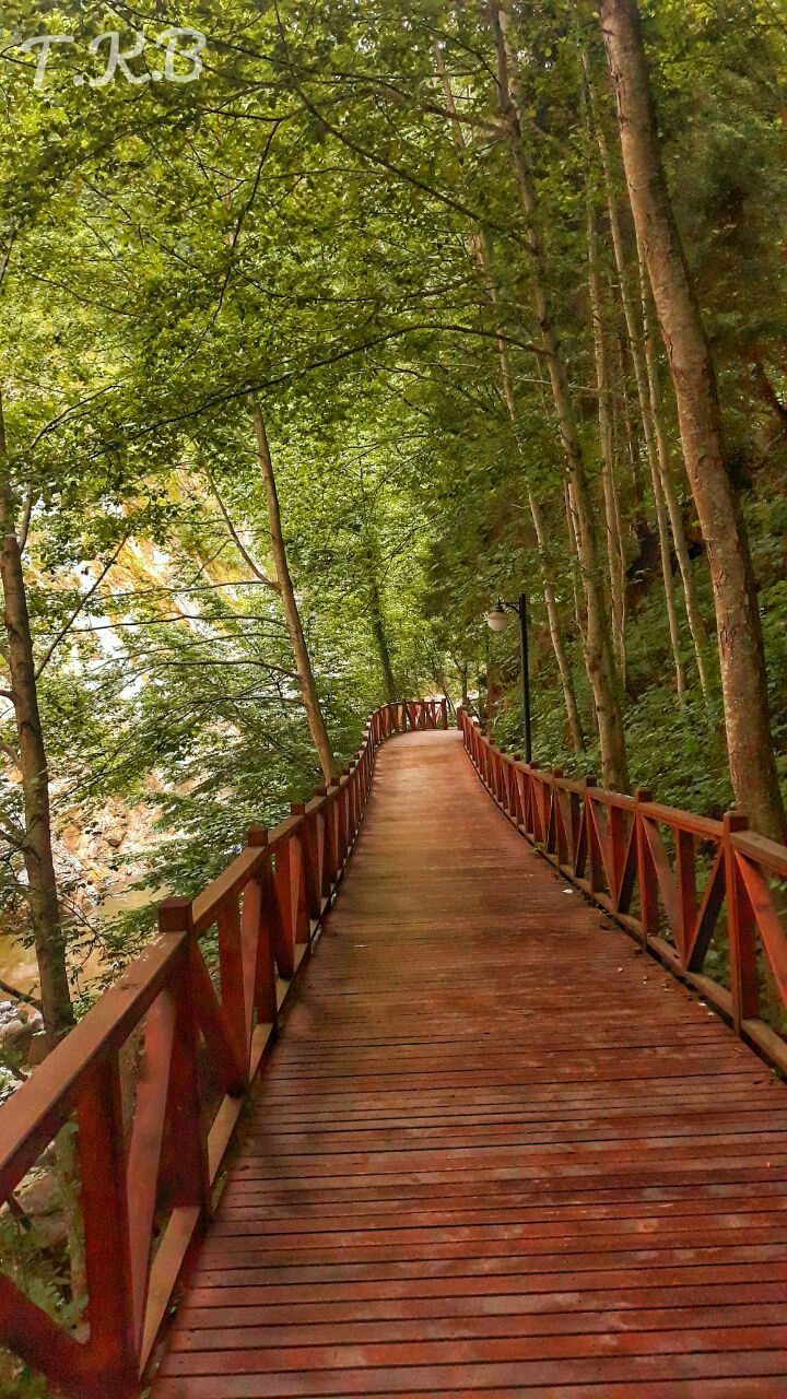Trabzon / Tonya / Canik Şelalesi