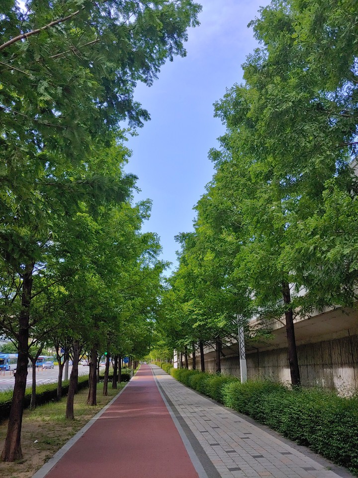 가로수길