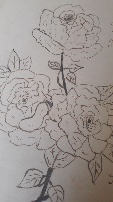 rose