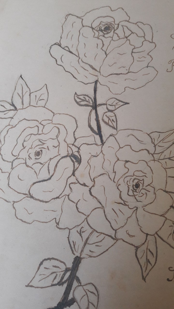 rose