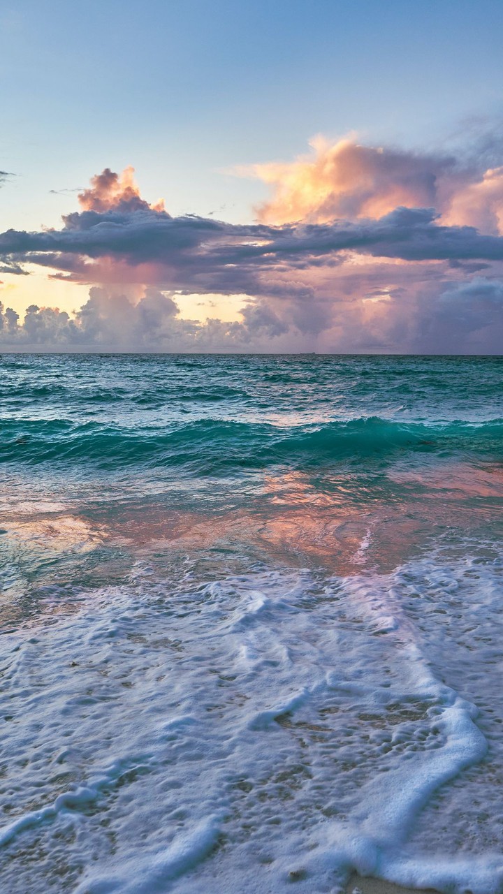 море