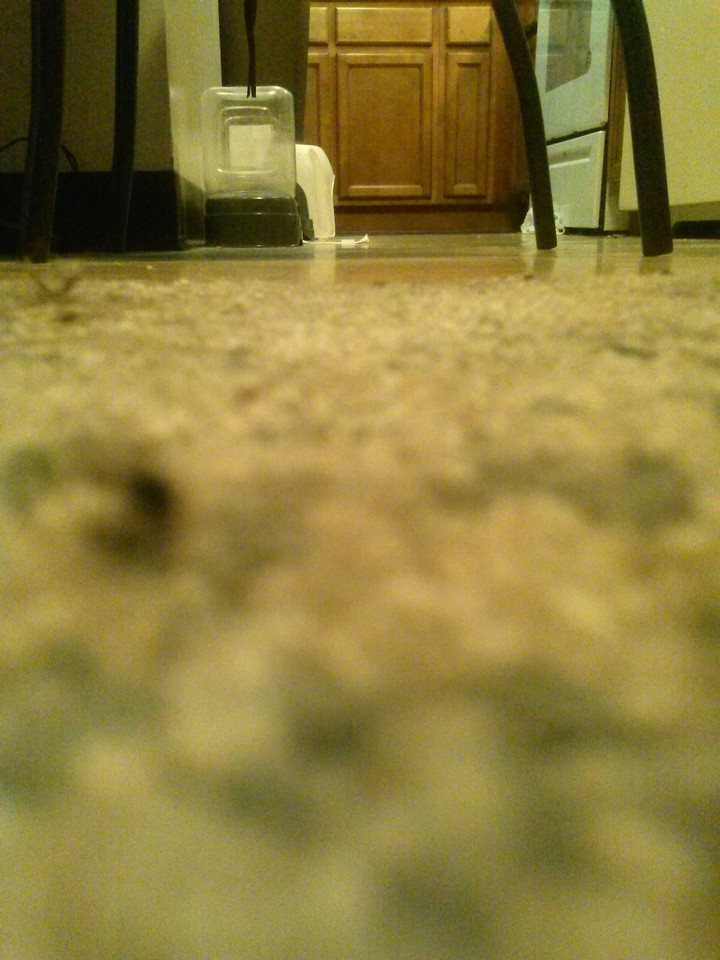 upside down pic