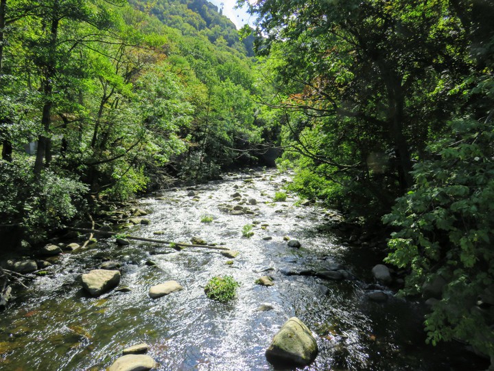 Thale im Harz