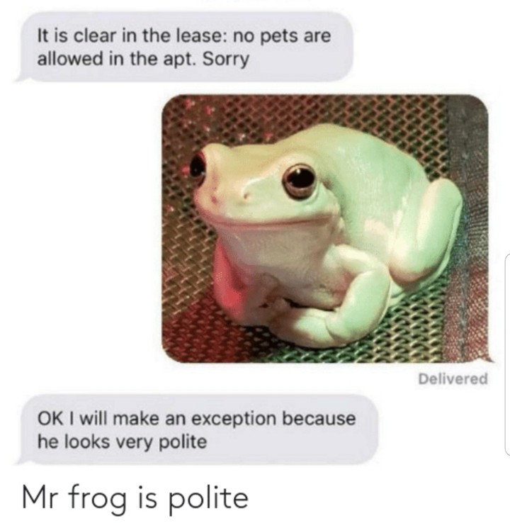 ☆Froggy is very polite☆