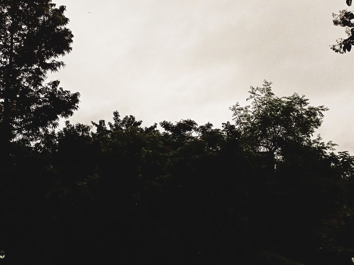 mansoon sky
