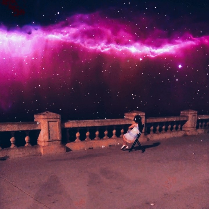 breaking rose