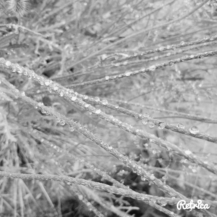 waterdrops